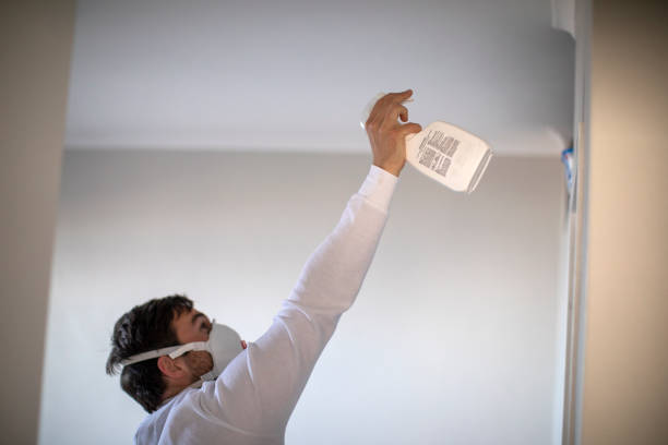 Mold Testing and Removal in Palos Hills, IL