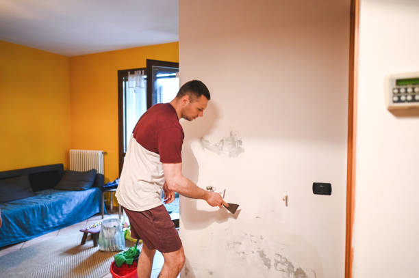 Best Professional Mold Removal  in Palos Hls, IL